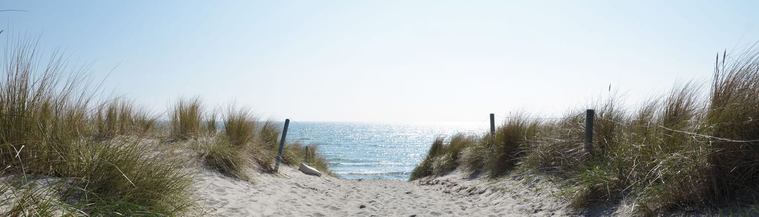 Zugang zur Düne am Strand von Göhren auf Rügen mit Holzsteg durch die Küstenlandschaft