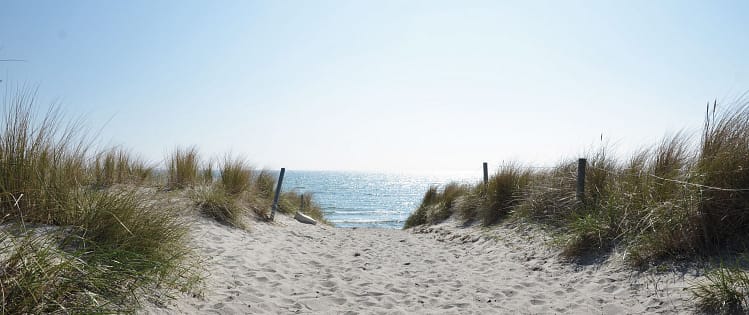 vh_umgebung_07 Zugang zur Düne am Strand von Göhren auf Rügen mit Holzsteg durch die Küstenlandschaft